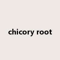 chicory root是什么意思