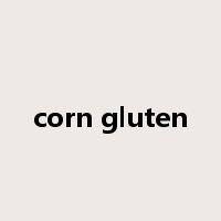 corn gluten是什么意思