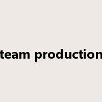 team production是什么意思