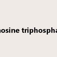 adenosine triphosphatase是什么意思