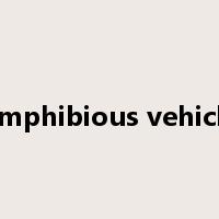 amphibious vehicle是什么意思
