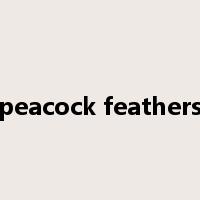 peacock feathers是什么意思