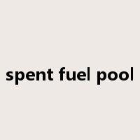spent fuel pool是什么意思