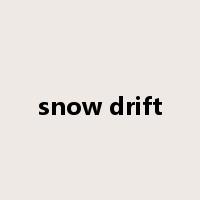 snow drift是什么意思