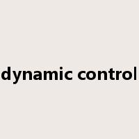 dynamic control是什么意思
