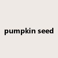 pumpkin seed是什么意思
