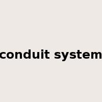 conduit system是什么意思