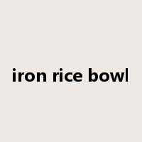 iron rice bowl是什么意思