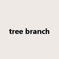 tree branch是什么意思