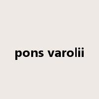 pons varolii是什么意思