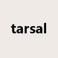 tarsal是什么意思