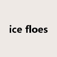 ice floes是什么意思