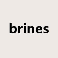 brines是什么意思