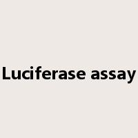 Luciferase assay是什么意思