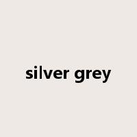 silver grey是什么意思