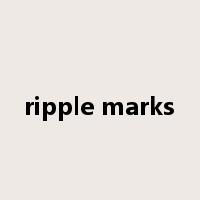 ripple marks是什么意思