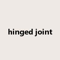 hinged joint是什么意思