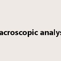 macroscopic analysis是什么意思