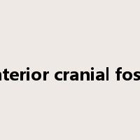 anterior cranial fossa是什么意思