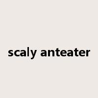scaly anteater是什么意思