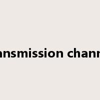 transmission channel是什么意思