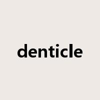 denticle是什么意思