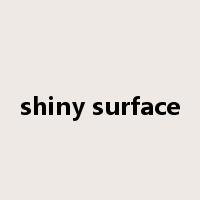 shiny surface是什么意思