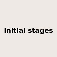 initial stages是什么意思