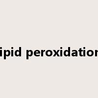 lipid peroxidation是什么意思