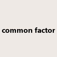 common factor是什么意思