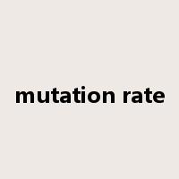 mutation rate是什么意思