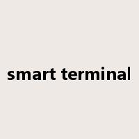 smart terminal是什么意思