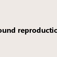 sound reproduction是什么意思