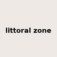 littoral zone是什么意思