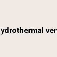 hydrothermal vent是什么意思