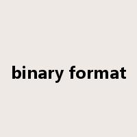 binary format是什么意思