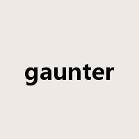 gaunter是什么意思