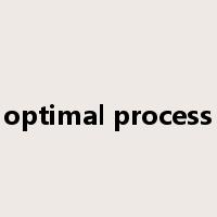 optimal process是什么意思