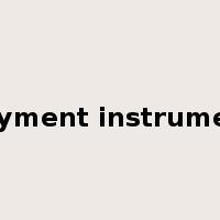 payment instrument是什么意思