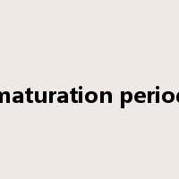 maturation period是什么意思