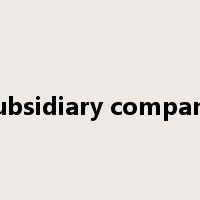 subsidiary company是什么意思