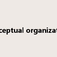perceptual organization是什么意思