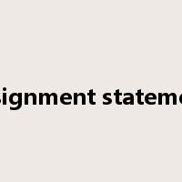 assignment statement是什么意思