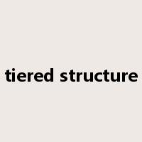 tiered structure是什么意思