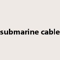 submarine cable是什么意思