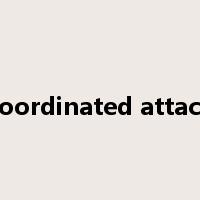 coordinated attack是什么意思