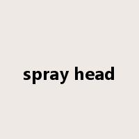 spray head是什么意思