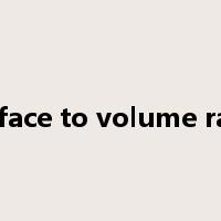 surface to volume ratio是什么意思