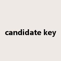 candidate key是什么意思