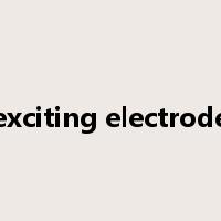 exciting electrode是什么意思